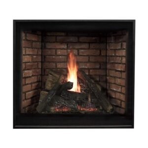 Empire Comfort Systems Empire Tahoe Clean-Face Luxury Gas Fireplace