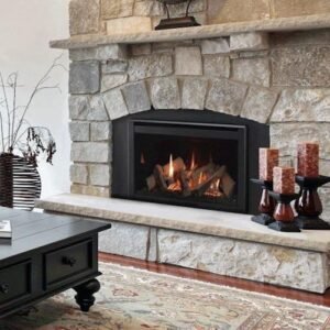 Majestic Ruby Direct Vent Gas Insert