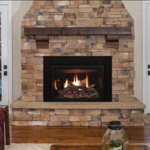 Empire Rushmore 30" Direct Vent Fireplace Insert