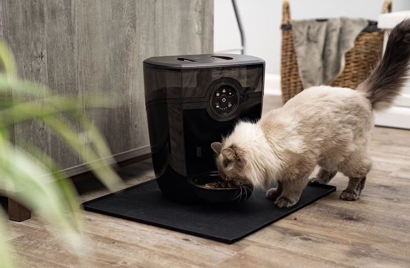 Smart Automatic Pet Feeder with App Control & Portion Scheduling - Image 3