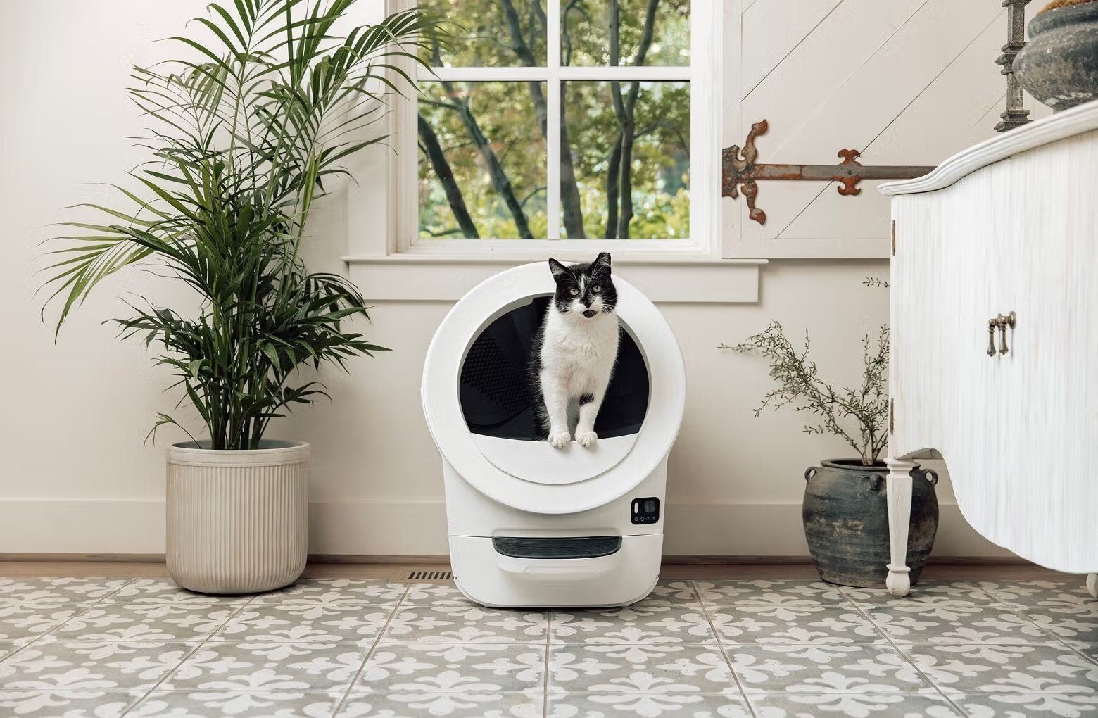 Smart Self-Cleaning Automatic Cat Litter Box with App - Image 6