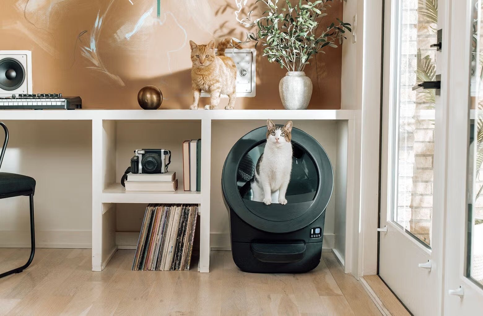 Smart Self-Cleaning Automatic Cat Litter Box with App - Image 4